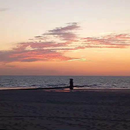 Stijlvol 'claire' Met Frontaal Zeezicht 奥斯滕德