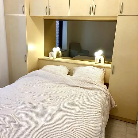 Stijlvol 'claire' Met Frontaal Zeezicht * 奥斯滕德